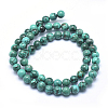 Natural Turquoise Beads Strands X-TURQ-G148-06-6mm-4