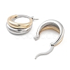 Rack Plating Brass Hoop Earrings EJEW-C101-07GP-2