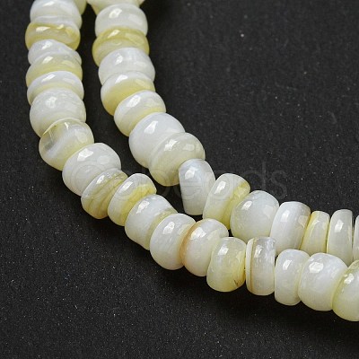 Dyed Natural Freshwater Shell Beads Strands BSHE-G039-07N-1