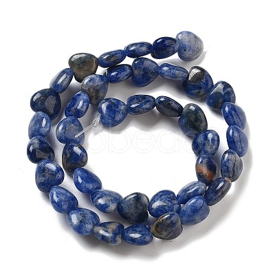 Natural Sodalite Beads Strands G-R190-10mm-37-1