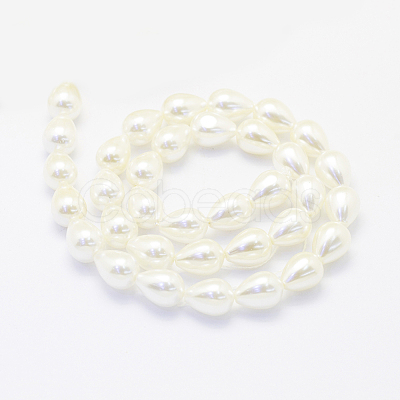 Shell Pearl Beads Strands BSHE-P024-05-1