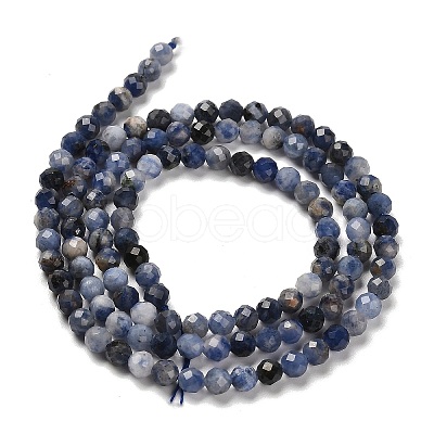 Natural Sodalite Beads Strands G-B107-A03-05-1