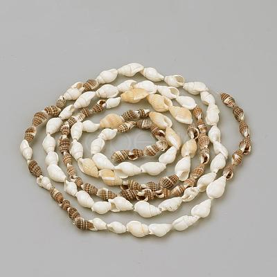 Natural Sea Shell Beads Strands SSHEL-R043-05-1