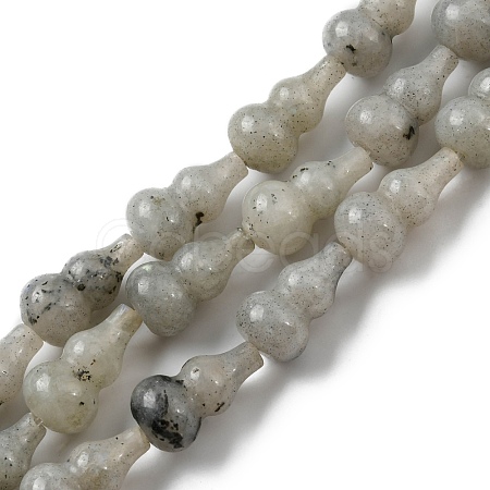 Natural Labradorite Beads Strands G-C039-A01-1