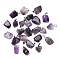 Natural AmethystPendants, with Stainless Steel Snap On Bails, Nuggets, 15x10x5mm, Hole: 3mm