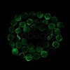 Natural Fluorite Beads Strands G-I308-05B-02-4