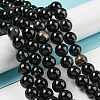 Natural Black Agate Beads Strands G-G391-10mm-01-4