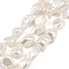 Shell Pearl Beads Strands BSHE-C008-01-1