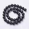 Natural Black Onyx Round Beads Strands GSR10mmC097-3