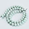 Natural Agate Beads Strands G-S286-06D-2