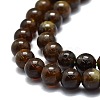 Natural Garnet Beads Strands G-E576-10A-3