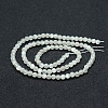 Natural Rainbow Moonstone Beads Strands G-P342-02A-6mm-AA-2