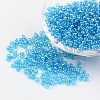 Round Glass Seed Beads X-SEED-A006-3mm-103B-1