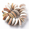 Natural Shell Beads Strands SSHEL-N034-101-2