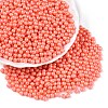 Glass Seed Beads SEED-T007-01E-3