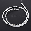 Natural Freshwater Shell Beads Strands SHEL-N027-08A-3