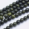 Natural Serpentine/Green Lace Stone Beads Strands G-P345-01-12mm-1