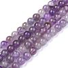 Natural Amethyst Beads Strands G-I256-02C-A-4