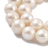 Natural Cultured Freshwater Pearl Beads Strands PEAR-C003-22B-3