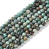 Natural Chrysocolla Beads Strands G-N342-29B-1