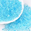 Spray Painted Glass Seed Beads SEED-T007-08B-3