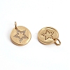 Brass Micro Pave Clear Cubic Zirconia Charms X-ZIRC-L091-028G-2