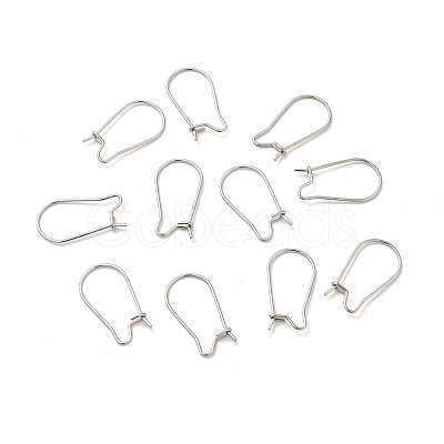 Tarnish Resistant 316 Surgical Stainless Steel Hoop Earrings Findings Kidney Ear Wires X-STAS-E009-6-1