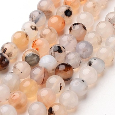 Natural Dendritic Agate Beads Strands X-G-D845-04-6mm-1