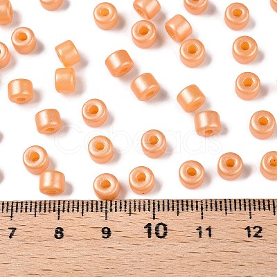 Baking Paint Pearlized Glass Seed Beads SEED-T008-03E-1