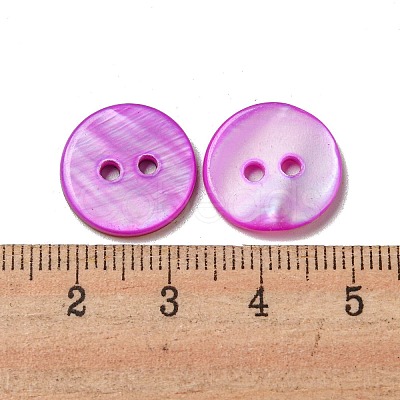 Freshwater Shell Buttons SHEL-C005-01B-02-1