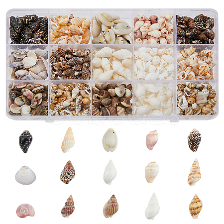 DICOSMETIC 119G 15 Styles Natural Mixed Shell Beads Sets BSHE-DC0001-01-1