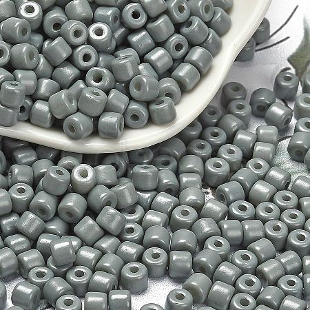 Baking Paint Pearlized Glass Seed Beads SEED-C001-04A-07-1