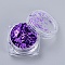 Foil Flakes, DIY Gilding Flakes, for Epoxy Jewelry Accessories Filler, Blue Violet, Box: 2.9x1.6cm