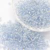 8/0 Transparent Glass Round Seed Beads X-SEED-J010-F8-32-1