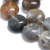 Natural Botswana Agate Beads Strands G-K245-O01-01-3