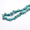 Synthetic Turquoise Beads Strands X-G-O049-B-43-3