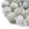 Natural Labradorite Beads Strands G-K294-B07-2