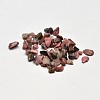 Natural Rhodonite Chip Beads X-G-O103-05-1