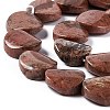 Natural Fossil Beads Strands G-O120-11-4