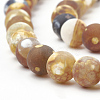 Dyed Natural Fire Crackle Agate Beads Strands G-T106-042-2