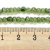 Natural White Shell Dyed Beads Strands BSHE-Z005-03E-4