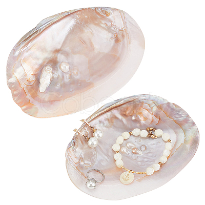 Nbeads 2Pcs Natural Freshwater Pearl Shell Decoration SHEL-NB0001-64-1