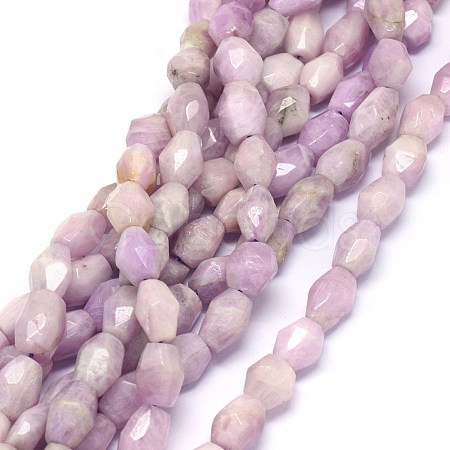 Natural Kunzite Beads Strands G-O173-021B-1