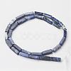 Natural Sodalite Beads Strands G-G968-D02-2