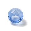 Glass European Beads GLAA-XCP0001-42C-2