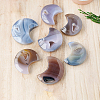 Natural Druzy Agate Display Decorations G-PW0004-17-5
