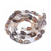 Natural Botswana Agate Beads Strands G-S363-043-2