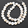 Natural Freshwater Shell Beads Strands SHEL-S276-70-3