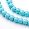 Glass Pearl Beads Strands HY-6D-B60-2