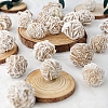 Natural Desert Rose Stone Display Decorations DJEW-PW0009-006B-006-1